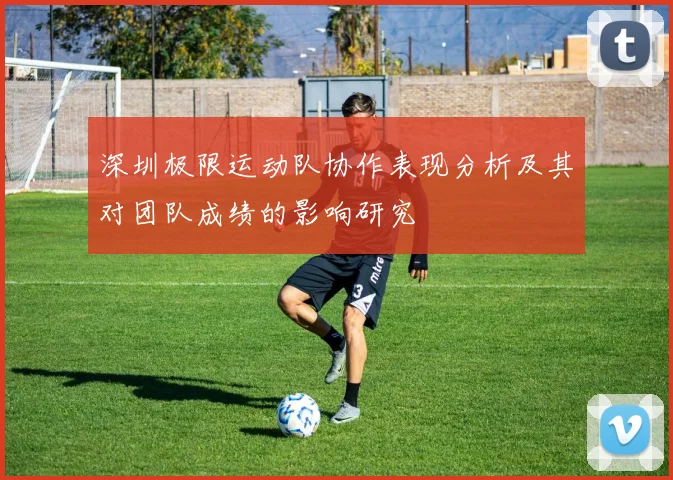 深圳极限运动队协作表现分析及其对团队成绩的影响研究
