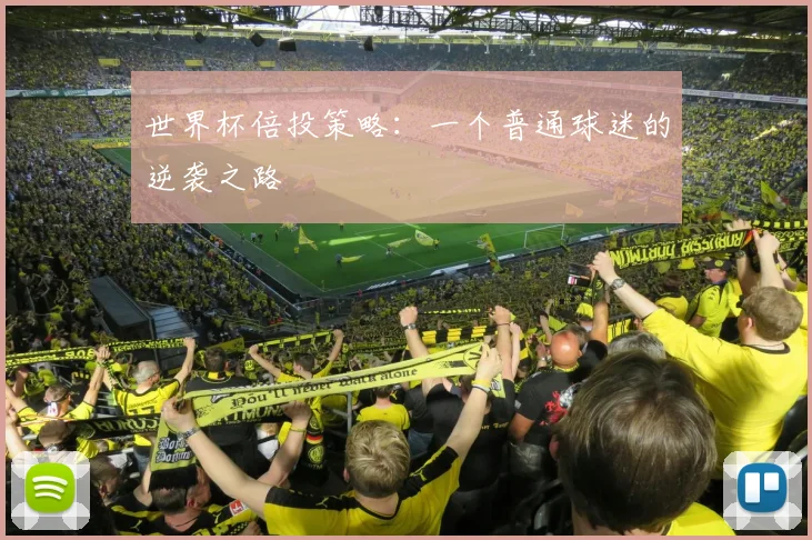 世界杯倍投策略：一个普通球迷的逆袭之路
