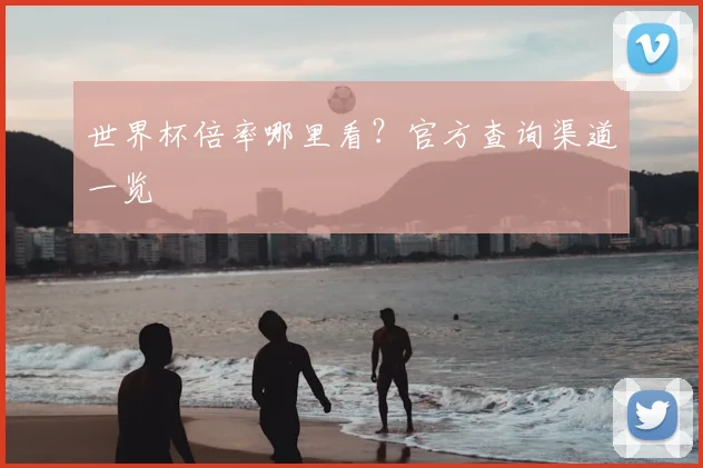 世界杯倍率哪里看？官方查询渠道一览