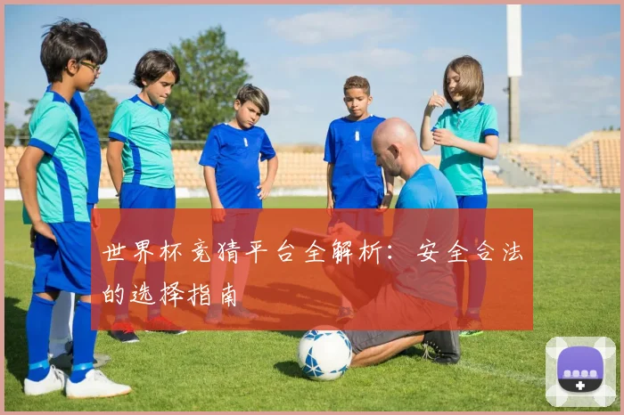 世界杯竞猜平台全解析:安全合法的选择指南