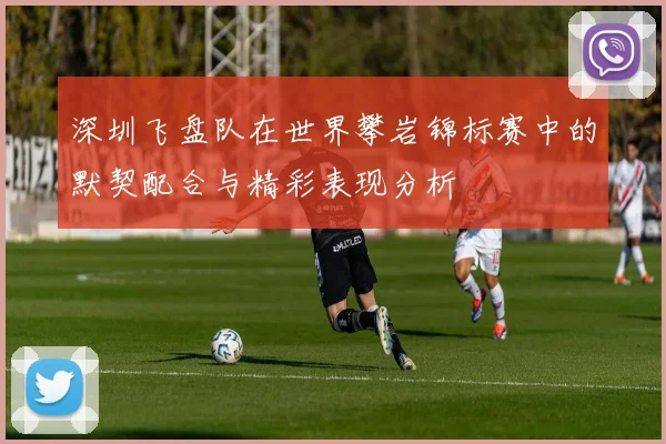 深圳飞盘队在世界攀岩锦标赛中的默契配合与精彩表现分析
