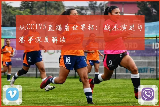 从CCTV5直播看世界杯:战术演进与赛事深度解读